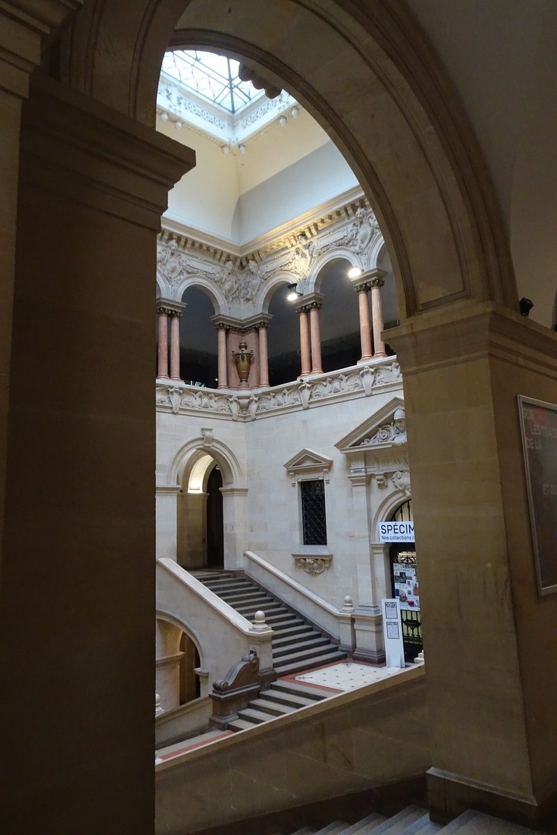 Augenschein im Naturhistorischen Museum Lausanne im Palais de Rumine