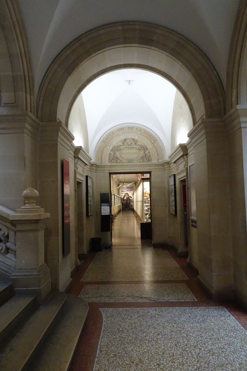 Augenschein im Naturhistorischen Museum Lausanne im Palais de Rumine
