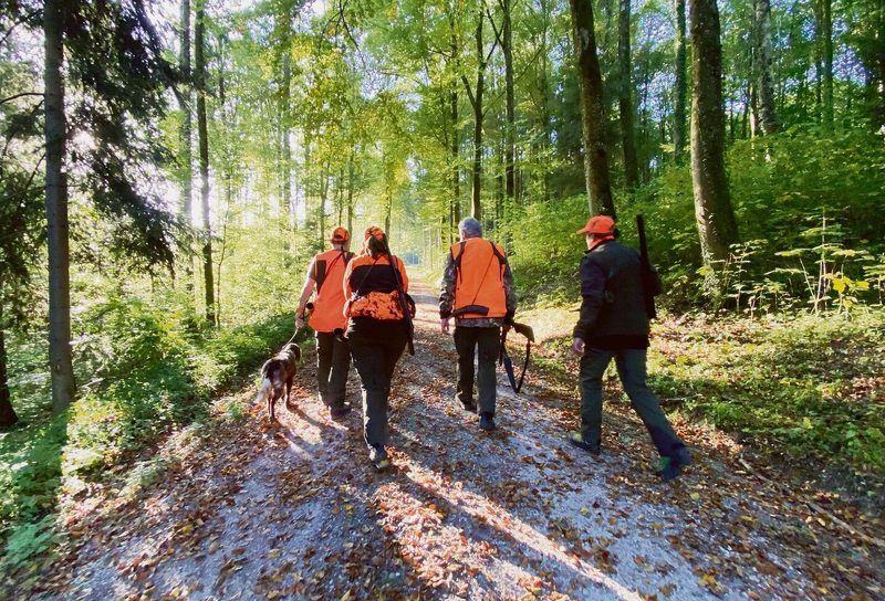 Die Jagdgruppe (oben) macht sich auf den Weg. Treiber und Hündin (rechts), kämpfen sich durchs Gestrüpp.