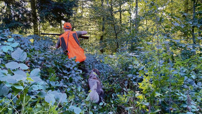 Die Jagdgruppe (oben) macht sich auf den Weg. Treiber und Hündin (rechts), kämpfen sich durchs Gestrüpp.