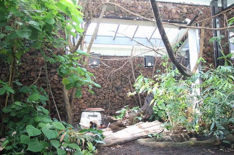 Neues Vogelhaus im Basler Zoo