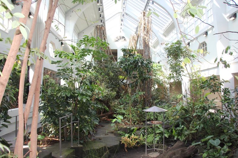 Neues Vogelhaus im Basler Zoo