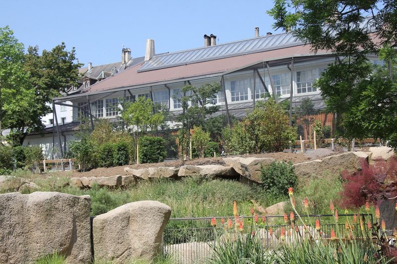 Neues Vogelhaus im Basler Zoo