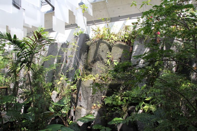 Neues Vogelhaus im Basler Zoo