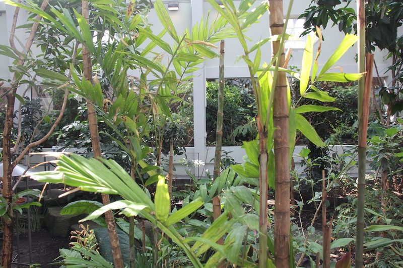 Neues Vogelhaus im Basler Zoo