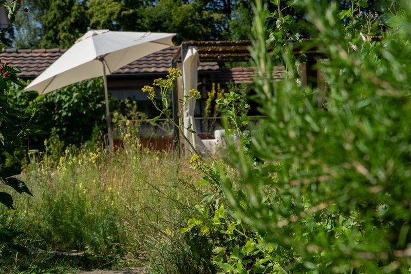 Matthias und Camila Wild: Granny’s garden gone wild