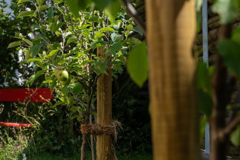 Matthias und Camila Wild: Granny’s garden gone wild