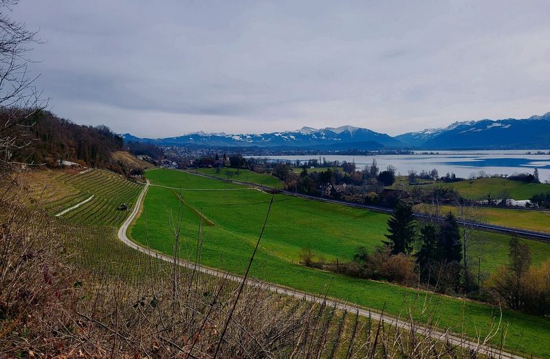 Blick auf den See mit der aktuellen Bahnstrecke zwischen Zürich und Rapperswil (oben). Zwischen Wolfhausen und Bubikon sind die alten Bahngleise samt Brücken noch bestens erhalten (unten).