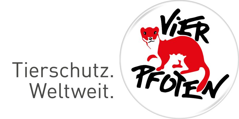 Schnell bestellt und krank geliefert – Welpen sind keine Weihnachtsgeschenke