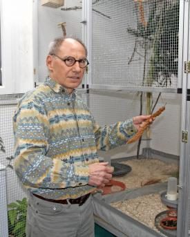 Timor-Zebrafinken-Züchter Jakob Niederhauser