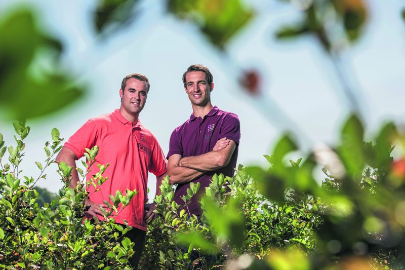 Wilde Beeren für jeden Geschmack