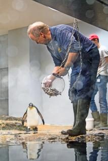 03-Pinguine_17.JPG