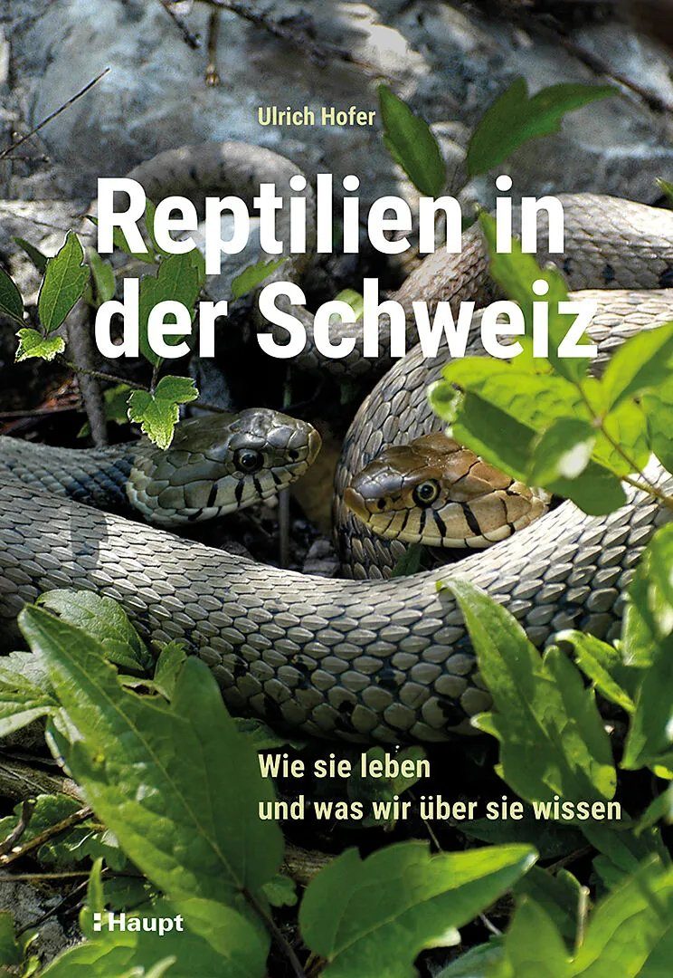 UG_Reptilien_def.indd