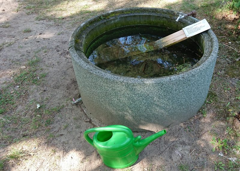 Planschbecken, Teiche, Regentonnen: Tiere vor dem Ertrinken schützen