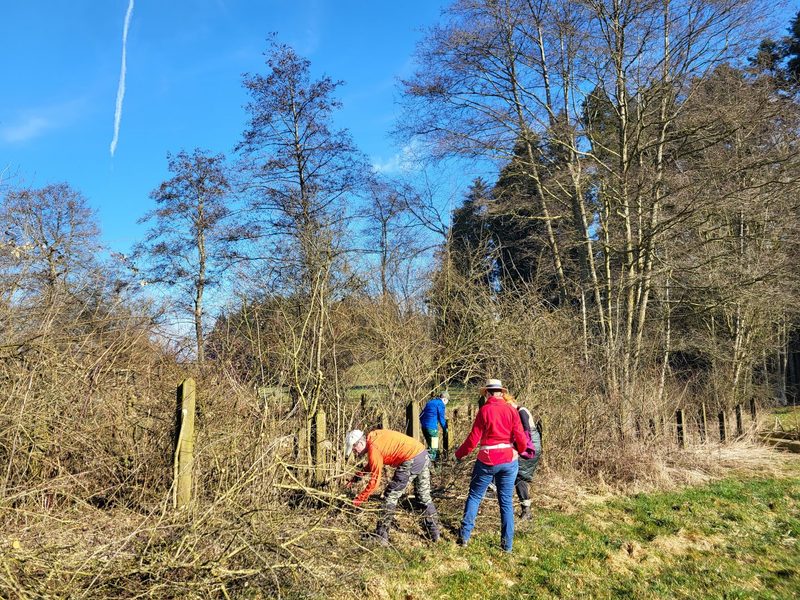 Freiwilligenarbeit für die Biodiversität: Ein Erfahrungsbericht