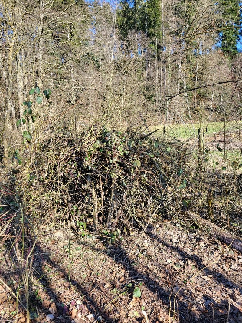 Freiwilligenarbeit für die Biodiversität: Ein Erfahrungsbericht