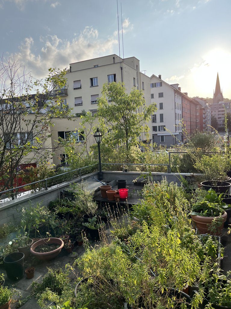Gemeinsames Gärtnern in der Stadt