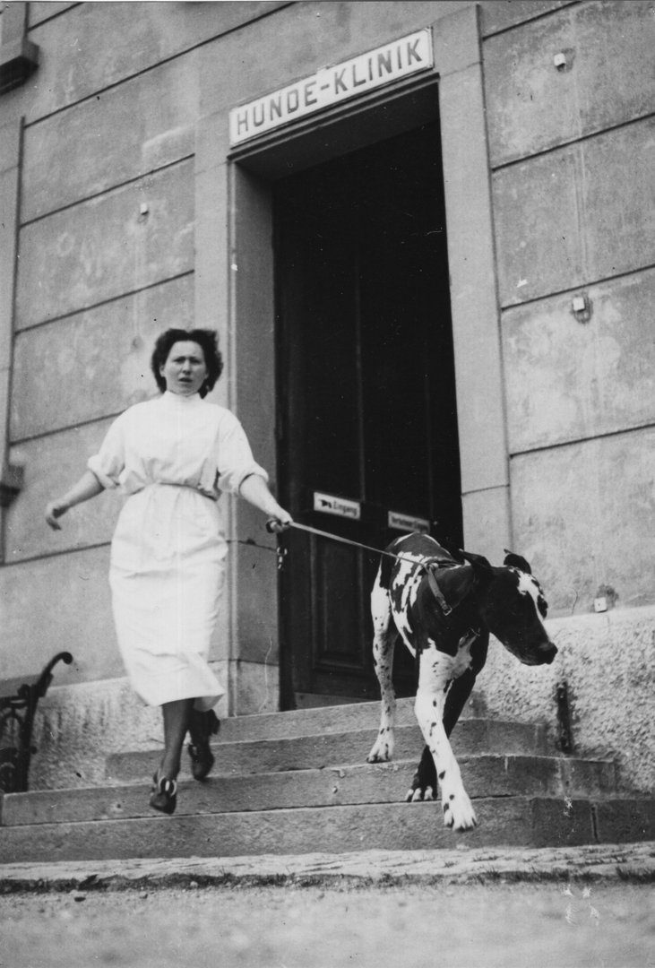 Die Geschichte von Elsa Mühlethaler – oder: Wie die Tiermedizin weiblich wurde