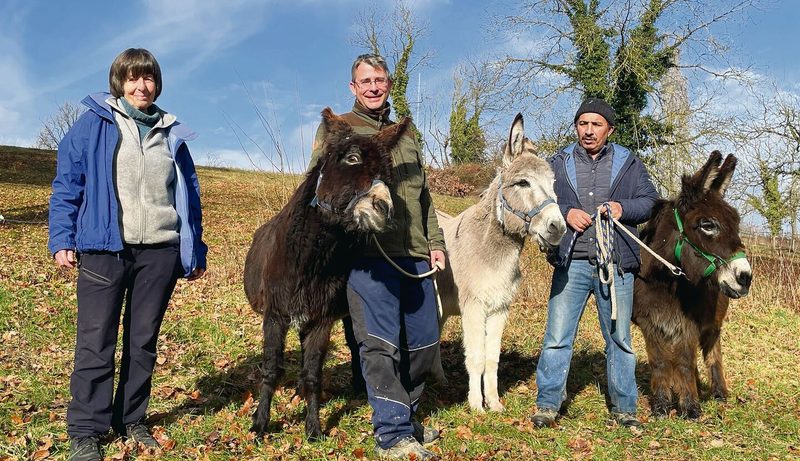 Christine Rüedi und ihr Team unternehmen mit den Eseln einen Spaziergang.