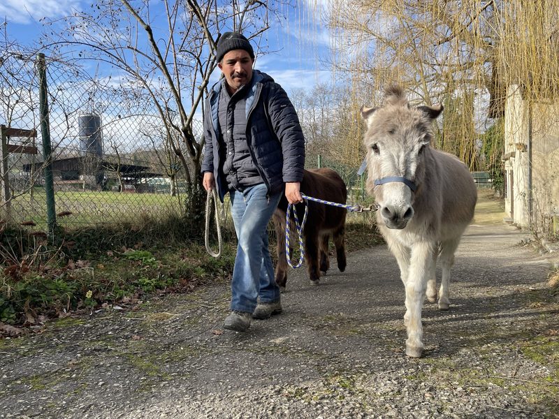 Auf dem Ethikhof in Allschwil schliessen Tiere und Kinder Freundschaft