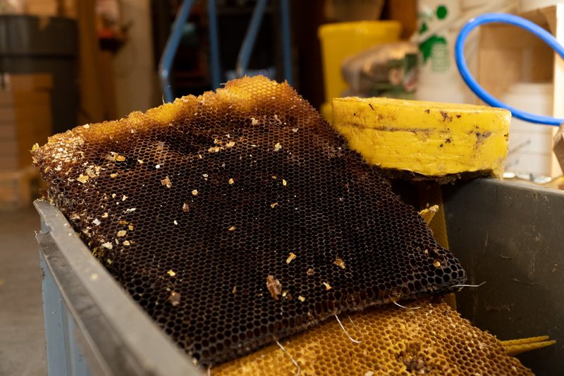 Wie entsteht Bienenwachs und wie wird es verarbeitet?