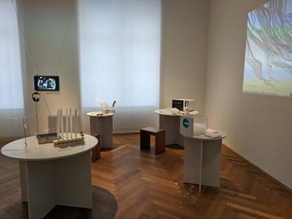 Ausstellung «Federn» im Gewerbemuseum Winterthur