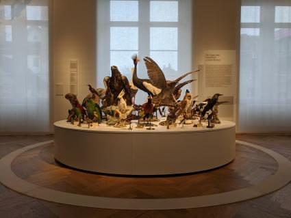 Ausstellung «Federn» im Gewerbemuseum Winterthur