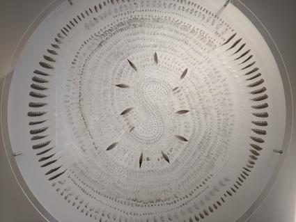 Ausstellung «Federn» im Gewerbemuseum Winterthur