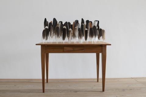 Ausstellung «Federn» im Gewerbemuseum Winterthur