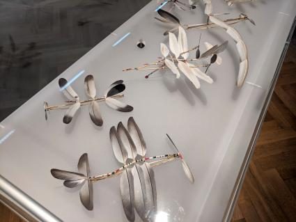 Ausstellung über Federn in Winterthur