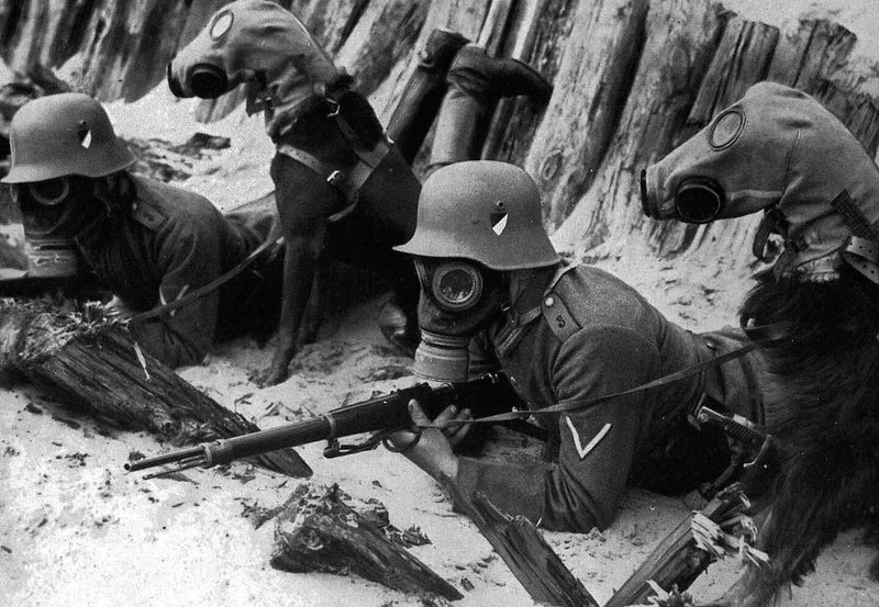 Eigens angefertigte Gasmasken schützten die Hunde im Ersten Weltkrieg vor Gasangriffen.