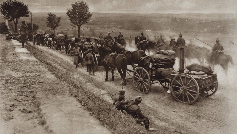 Wie Hunde, Pferde und Tauben den Menschen in Kriegszeiten dienten