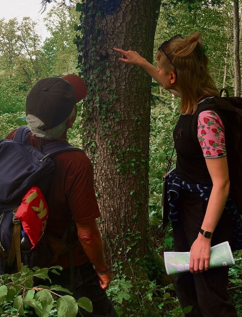 Eline Staubli und Fredy Nipkow untersuchen einen Belaufbaum. In seiner Krone finden die Ameisen ihre Nahrung.
