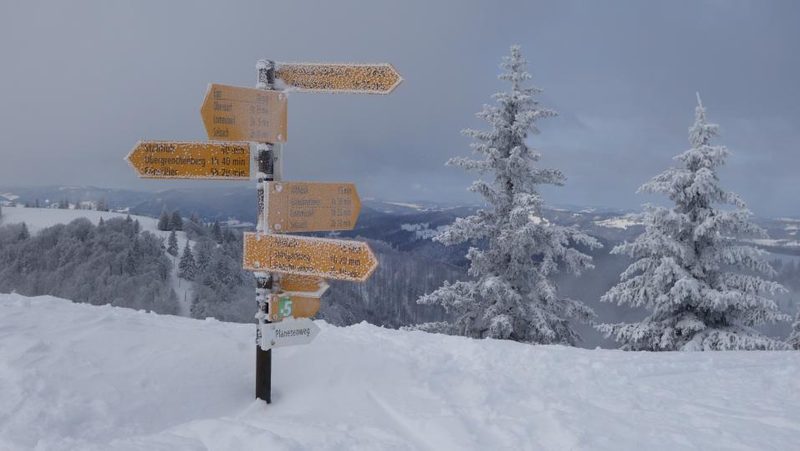 Wanderung am Jurasüdfuss