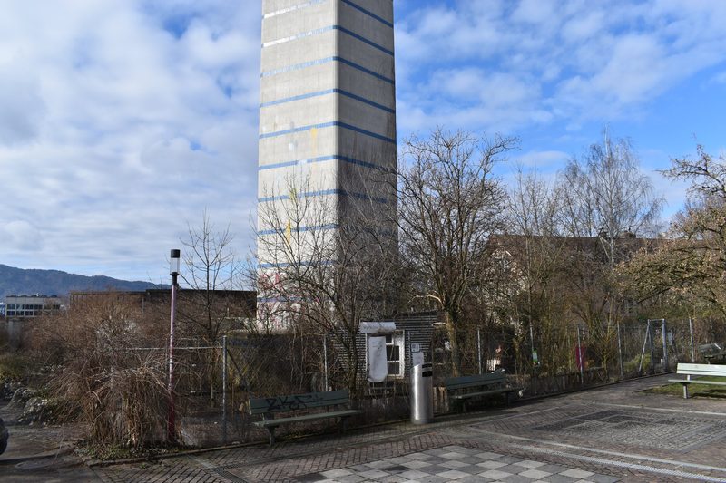 Private Hühnerhaltung in Zürich: Wie zwölf Hennen ein städtisches Quartier bereichern