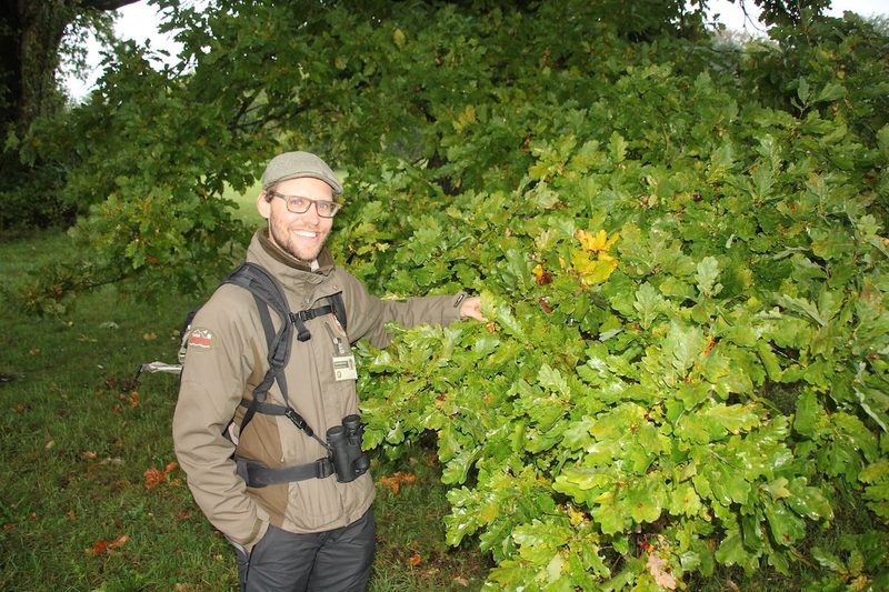Die Eichen von Wildenstein im Baselland