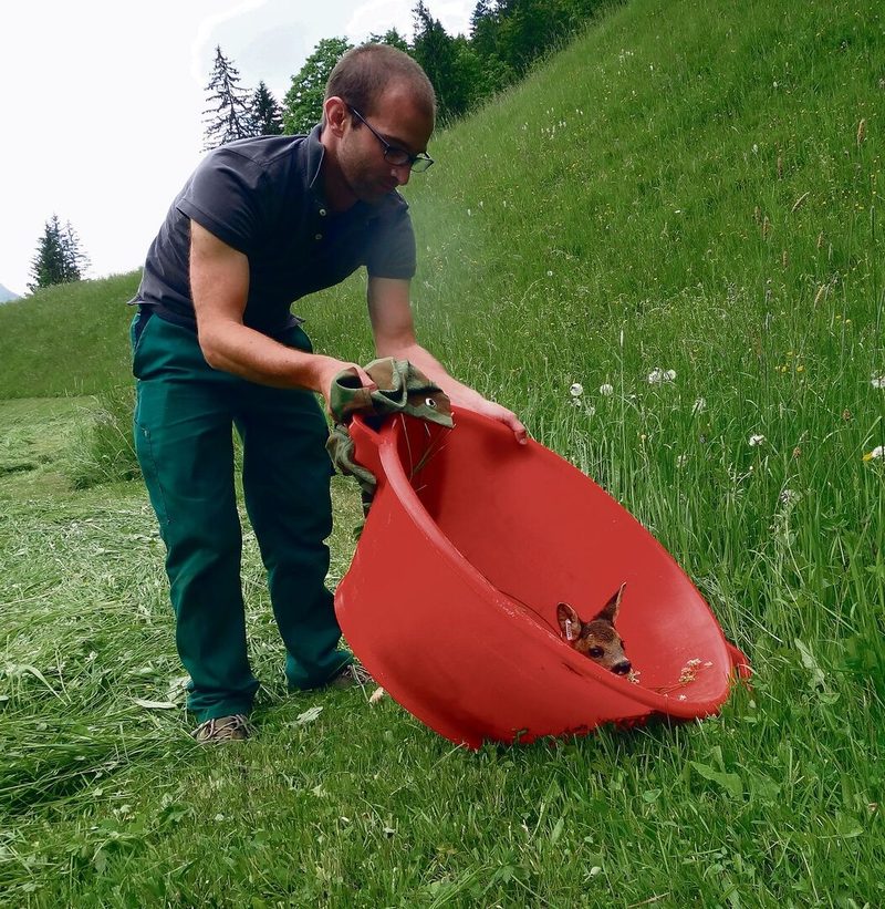Benedikt Gehr