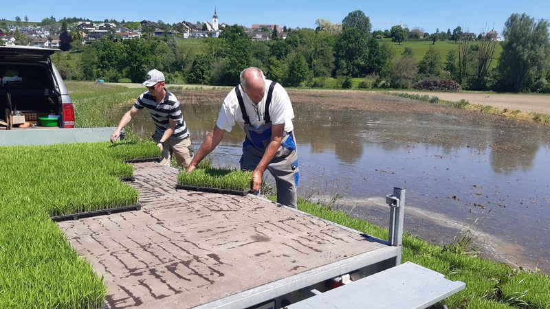 Wasser als Lebensader der Eidgenossen