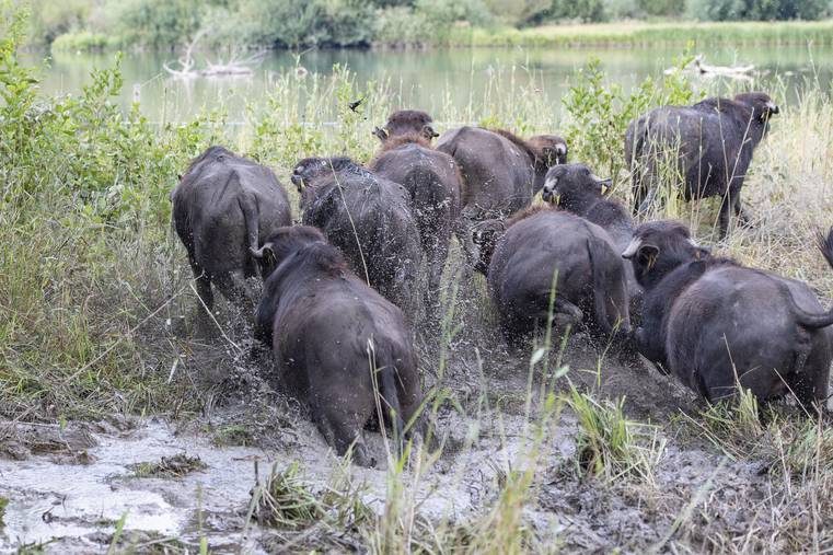 Wasser als Lebensader der Eidgenossen