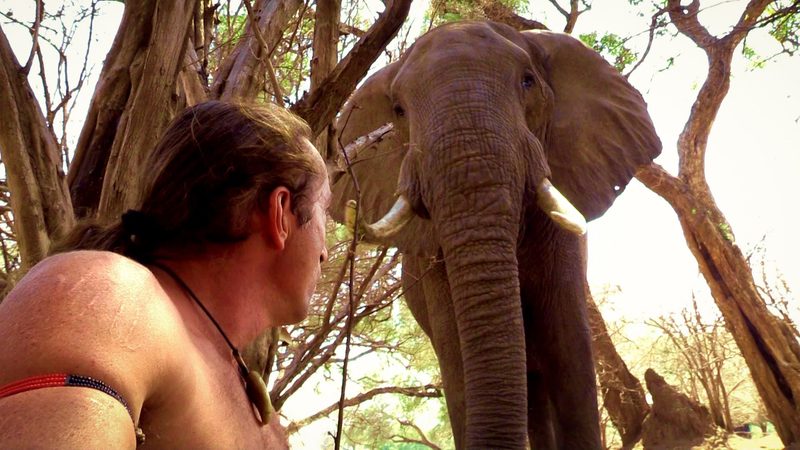 Zwischen Löwen und Stammesleben: Filmemacher Richard Gress über sein Leben in der Wildnis