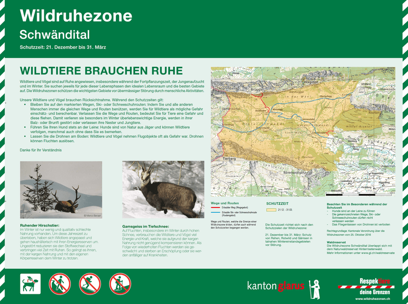 Wie dein Verhalten die Natur schützen kann