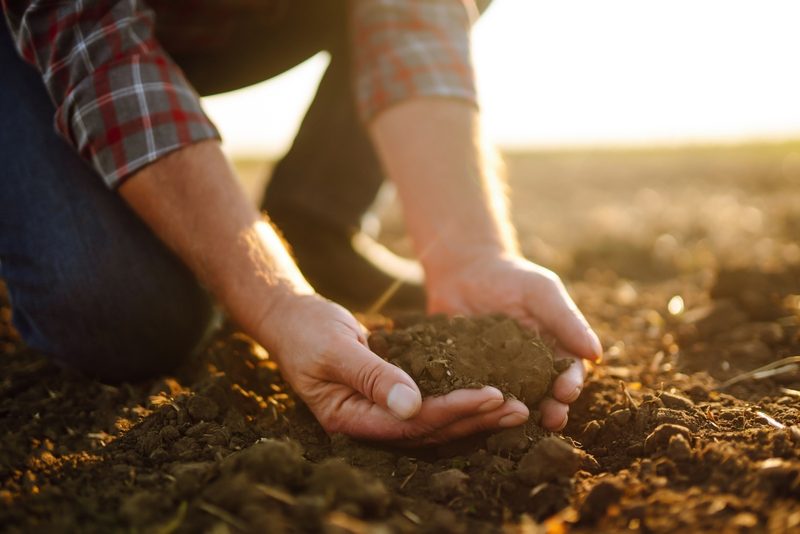 Was genau ist regenerative Landwirtschaft?