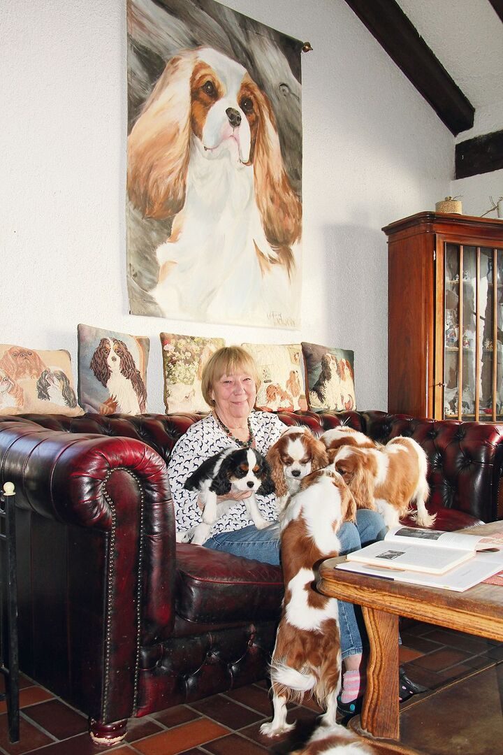 Gunilla Kühni-Stenberg hat sich ganz den Cavalier King Charles Spaniels verschrieben.