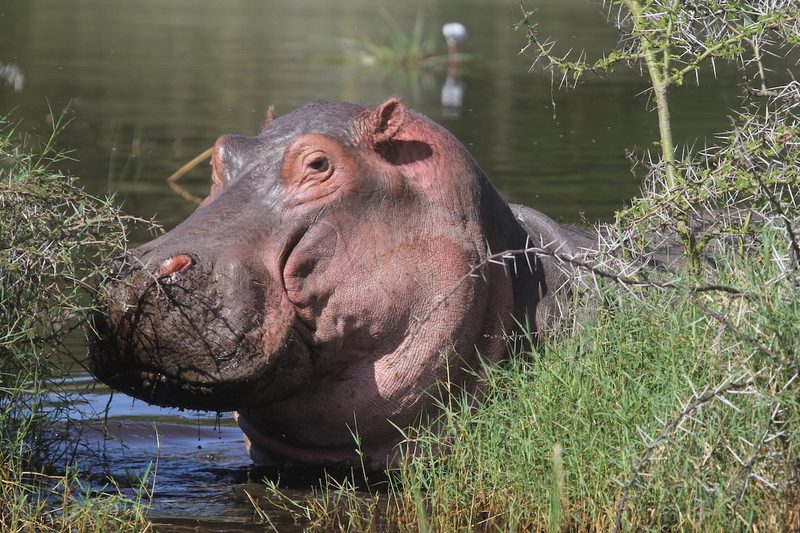 Verschiedene Reisearten mit der Natur im Fokus
