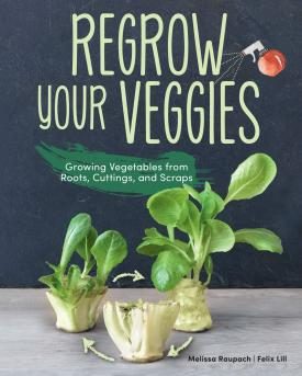 Buchtipp Regrow your Veggies
