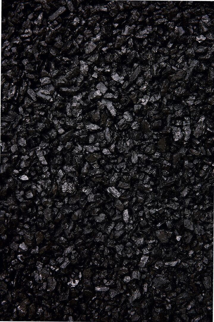 So gelingt ein eigenes Ökosystem im Glas