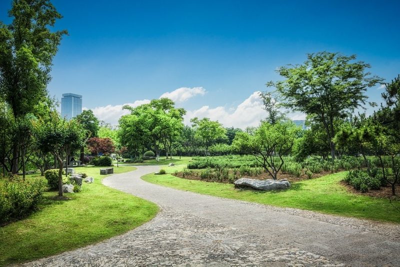 Die Stadt als Schwamm