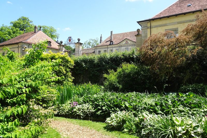 Inmitten von Irisblüten im Château de Vullierens