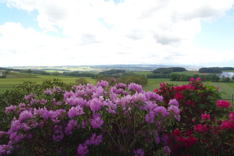 Inmitten von Irisblüten im Château de Vullierens