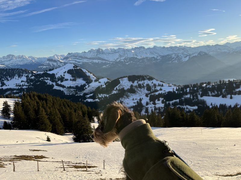 Der erste Ausflug auf die Rigi